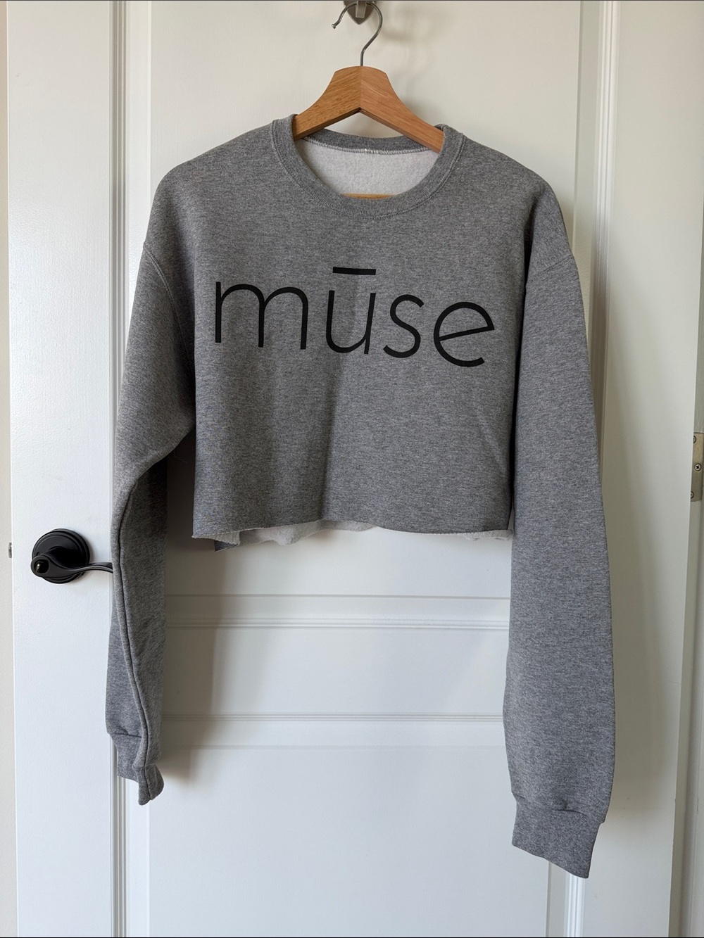 Muse Gray Cropped Logo Sweatshirt